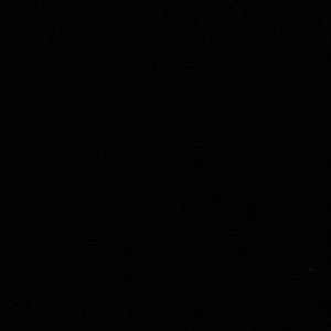 Meet your Posher, Noah